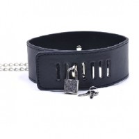 Collar with Nipple Clamps Black